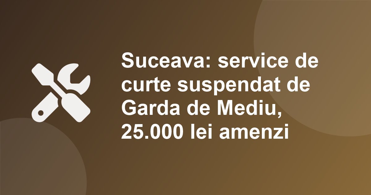 Suceava: service si vopsitorie "de curte", suspendate de Garda de Mediu dupa o sesizare. Amenzi de 25.000 lei pentru lipsa autorizatiei si deseuri pe sol